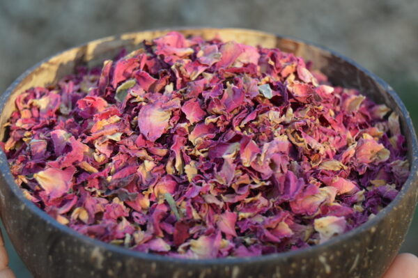Pétalos de rosas