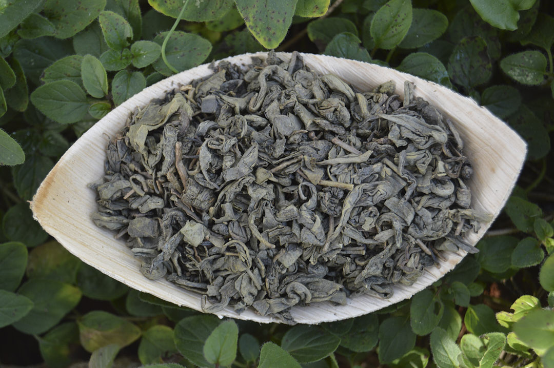 Té verde Gunpowder Té verde Gunpowder