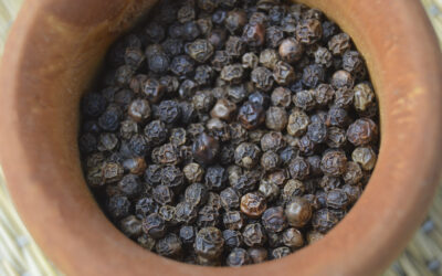 Pimienta negra en grano