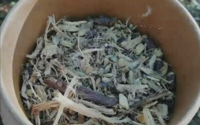 Mezcla Herbal Perfecta Digestión