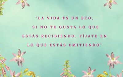 Frases para reflexionar