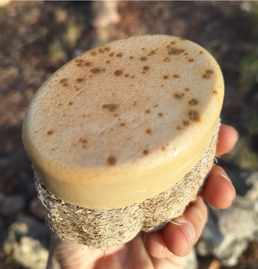 Captura de pantalla 2025-03-17 141338